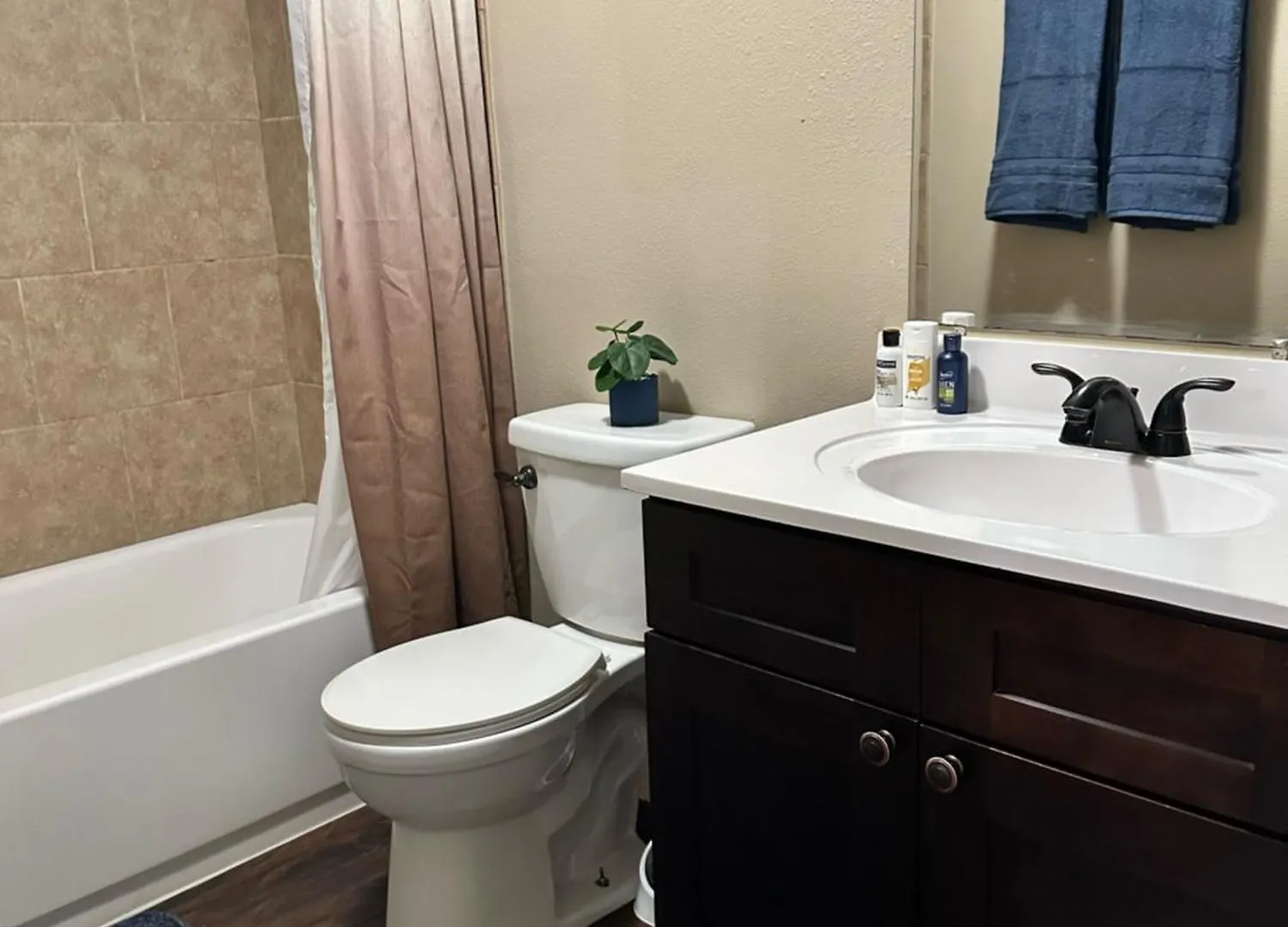 Apartment Miami Court Cottage Lakeland